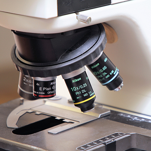 integrative health care